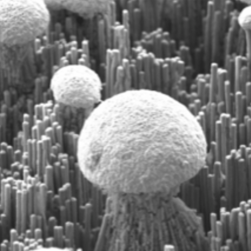 Département matériaux fonctionnels et nanostructures